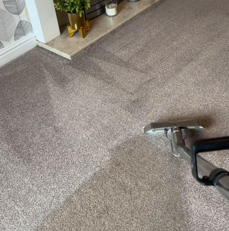 Carpet Cleaning